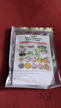 20 Varieties of Vegetable & Flower Seeds Combo (1 Pkt. / 20 Varieties)