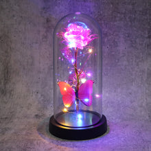 LED Decorative Rose with Butterfly in Transparent Plastic Dome (1 Pc / Battery Not Included)